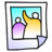 Snapshot Icon